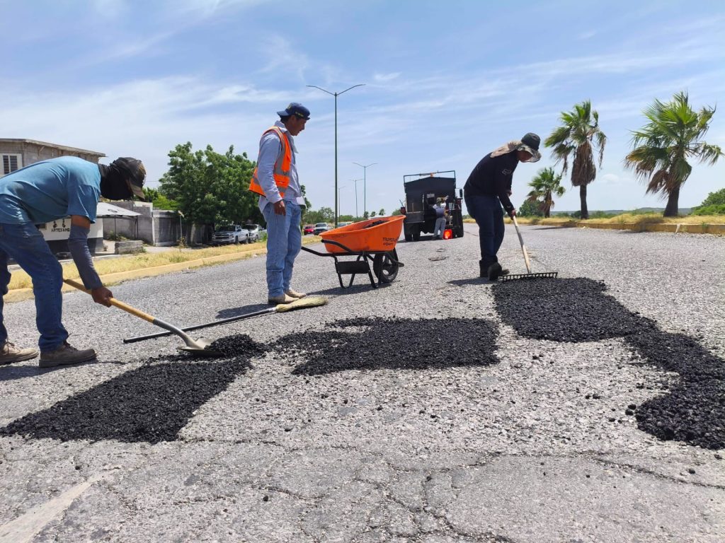 bacheo