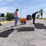 bacheo