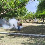 dengue2