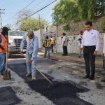 bache
