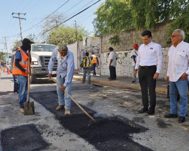 bache